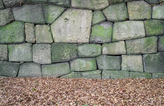 hardscape design contractors in Fort Myers